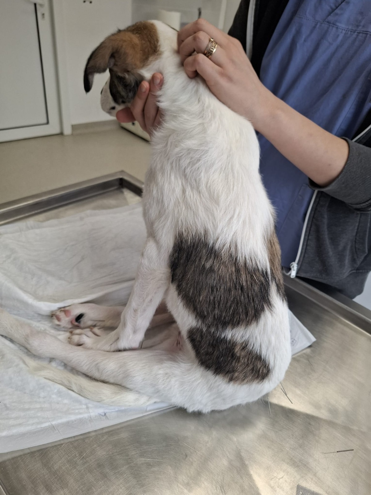 WhatsApp Image 2025-11-21 at 12.27.16 (1)