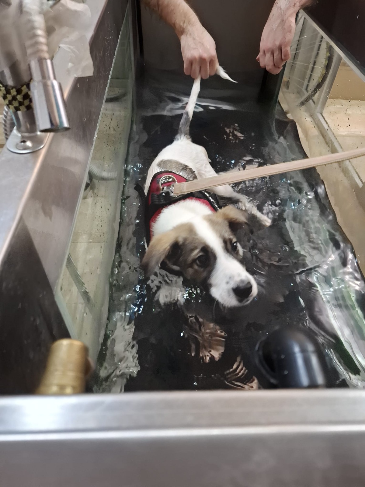 WhatsApp Image 2025-11-21 at 12.27.16 (3)