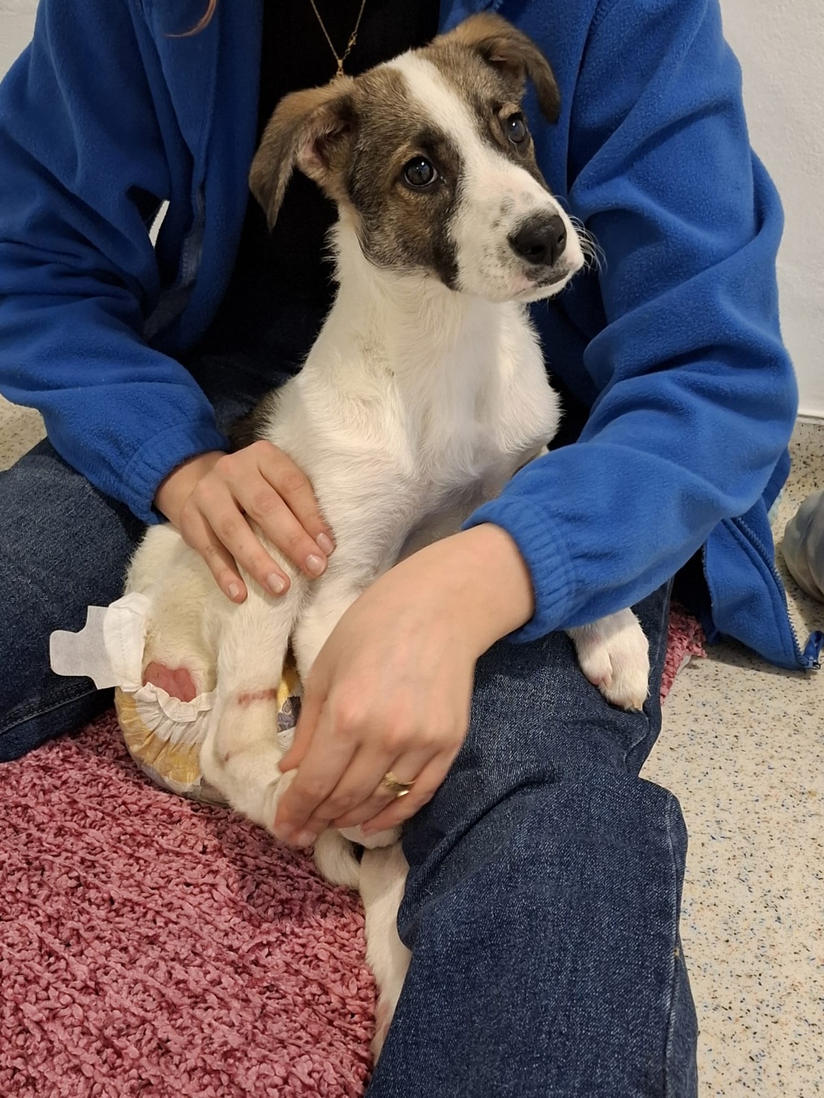 WhatsApp Image 2025-11-21 at 12.27.16