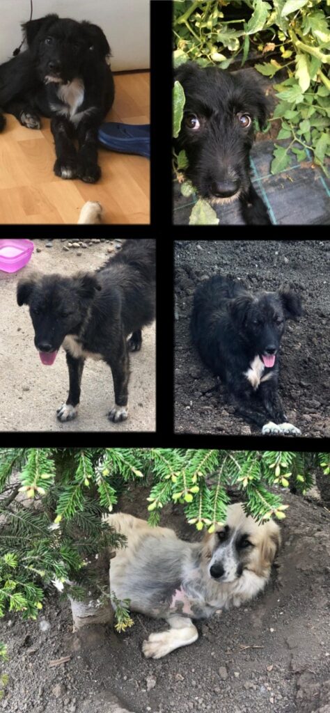 WhatsApp Image 2025-11-21 at 12.57.35