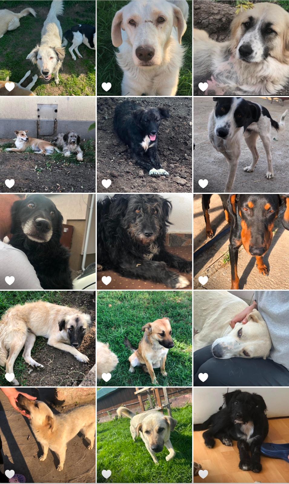 WhatsApp Image 2025-11-21 at 12.57.38