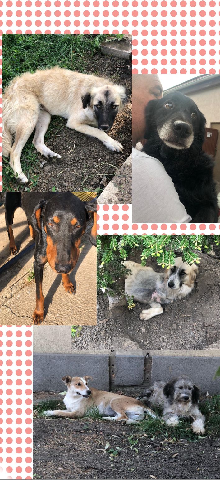 WhatsApp Image 2025-11-21 at 12.57.40